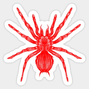 Red Spider Sticker